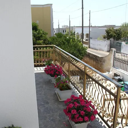 Apartment Municipio *